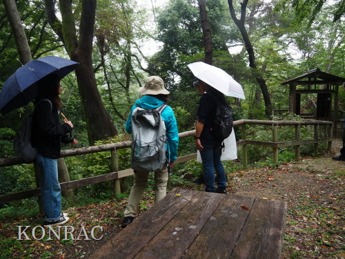 ���R��y��