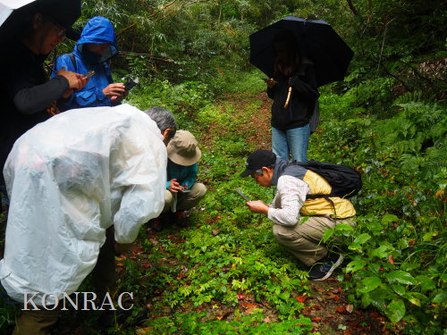 �g�L�z�R��