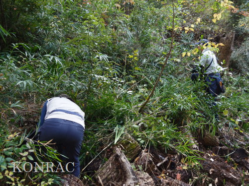 ���R��y��