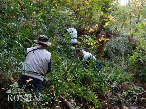 ���R��y��