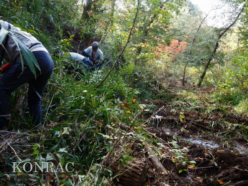 ���R��y��