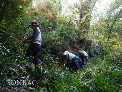 ���R��y��