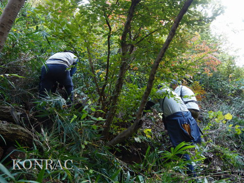 ���R��y��