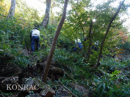 ���R��y��