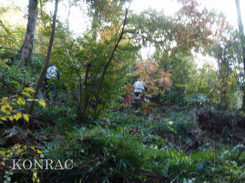 ���R��y��