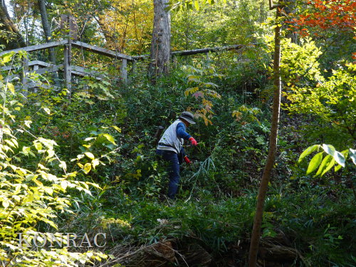 ���R��y��