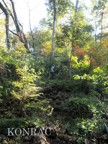 ���R��y��