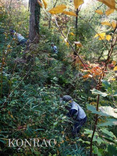 ���R��y��