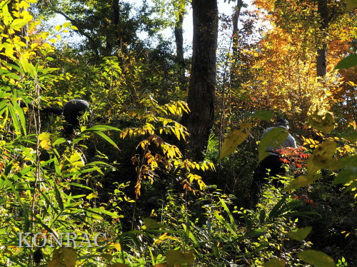 ���R��y��