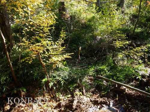 ���R��y��