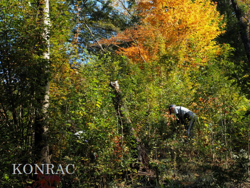 ���R��y��