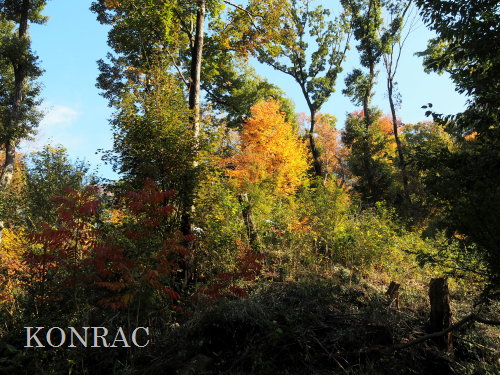 ���R��y��