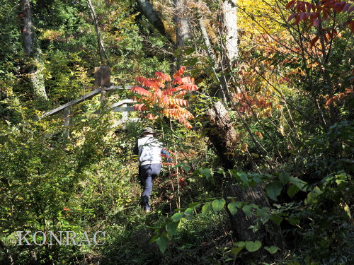 ���R��y��