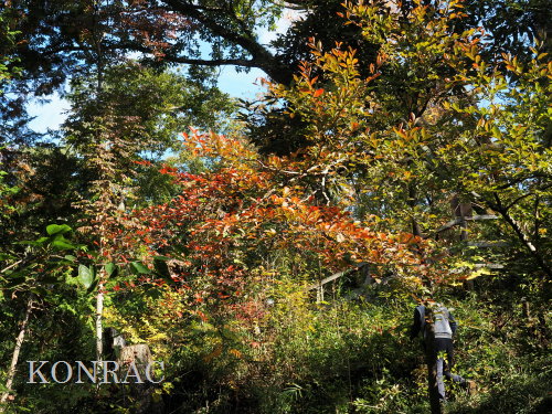 ���R��y��