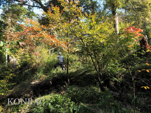 ���R��y��