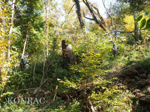 ���R��y��