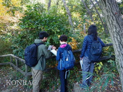 ���ы�y��