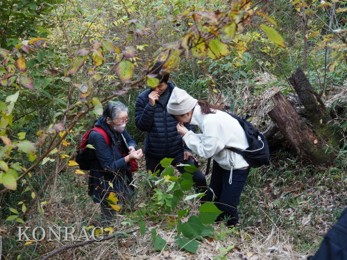 ���ы�y��