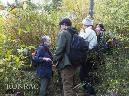 ���ы�y��