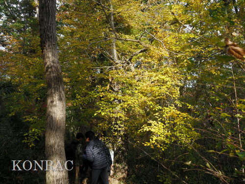 ���ы�y��