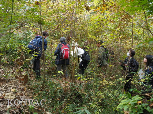 ���ы�y��