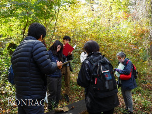 ���ы�y��