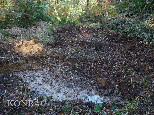 ���R��y��