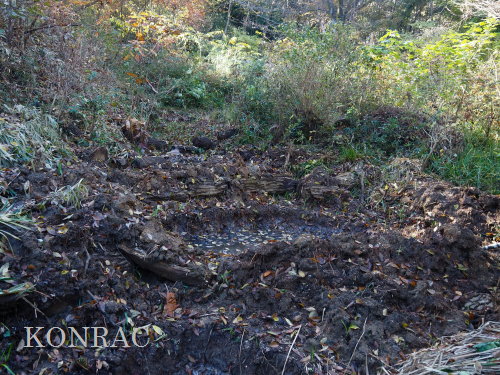 ���R��y��