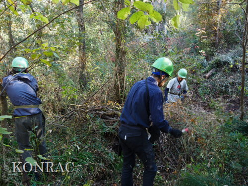 ���R��y��