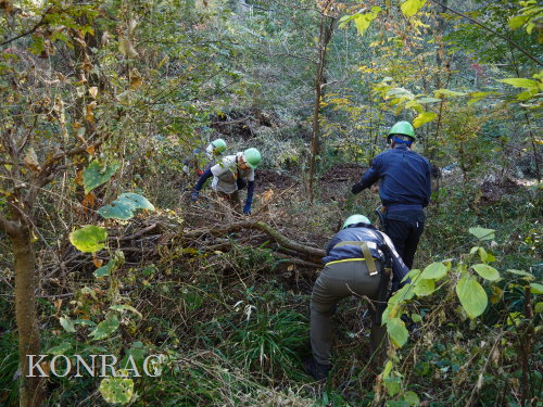 ���R��y��