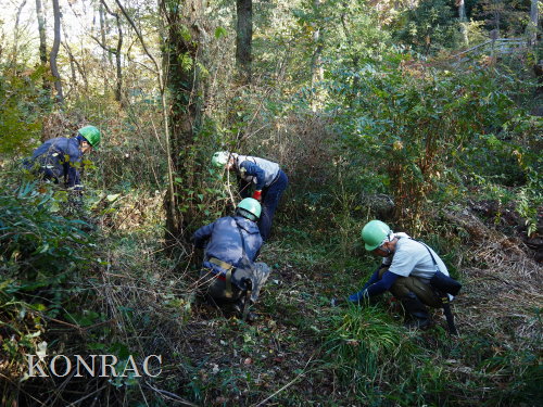 ���R��y��