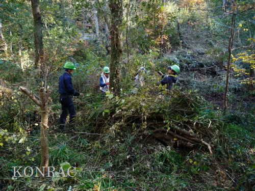 ���R��y��