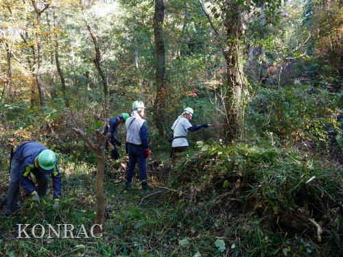 ���R��y��