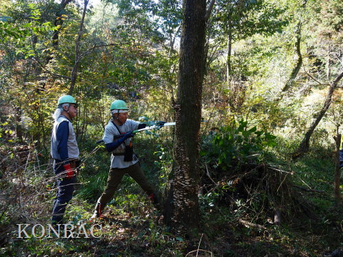 ���R��y��