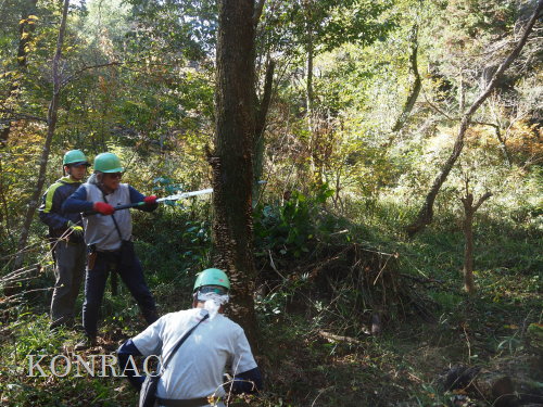 ���R��y��