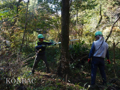 ���R��y��