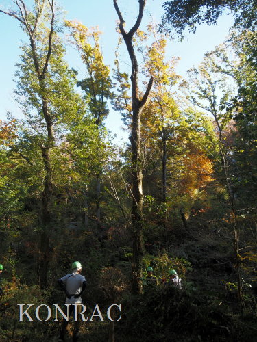 ���R��y��