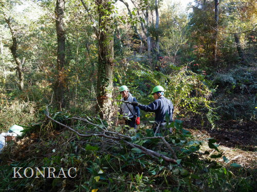 ���R��y��