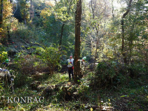 ���R��y��