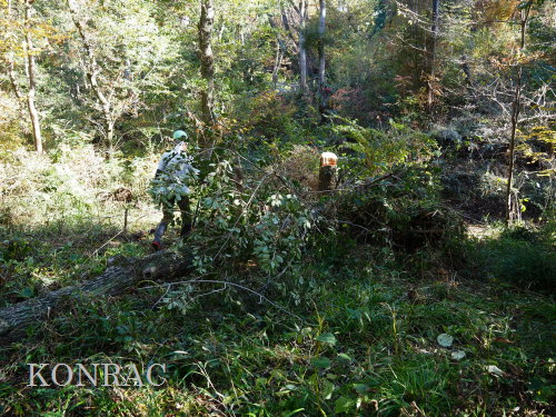 ���R��y��