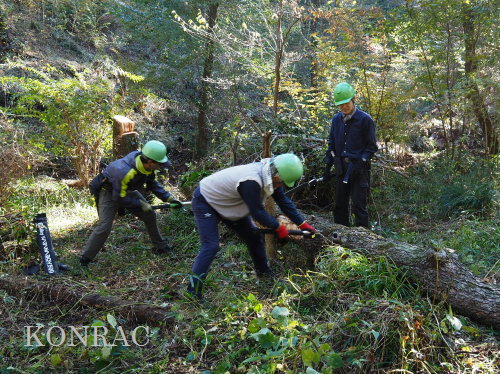 ���R��y��