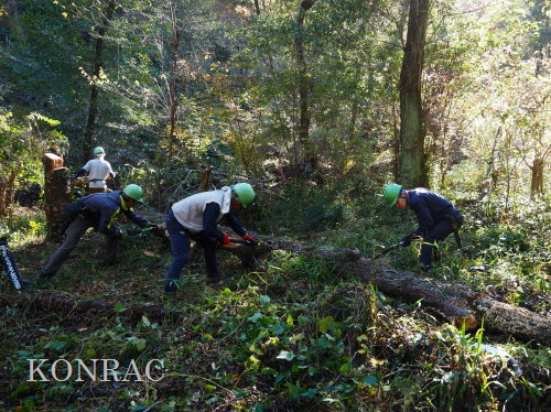 ���R��y��