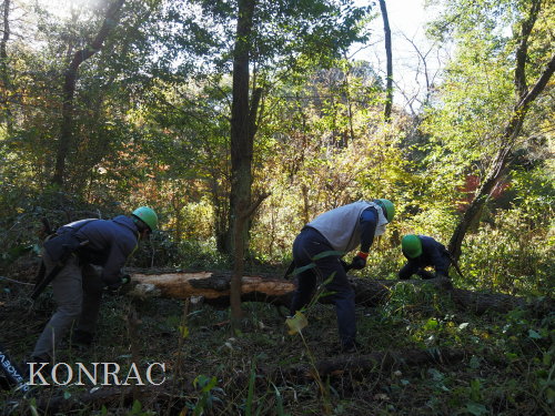 ���R��y��