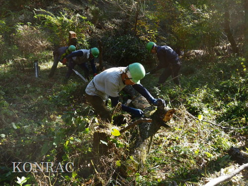 ���R��y��