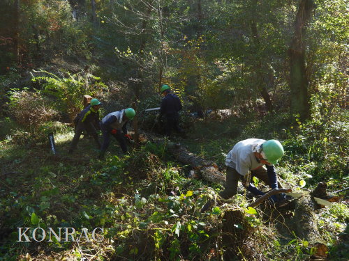 ���R��y��