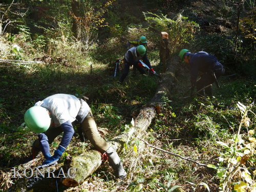 ���R��y��