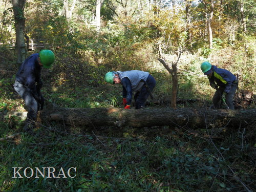 ���R��y��