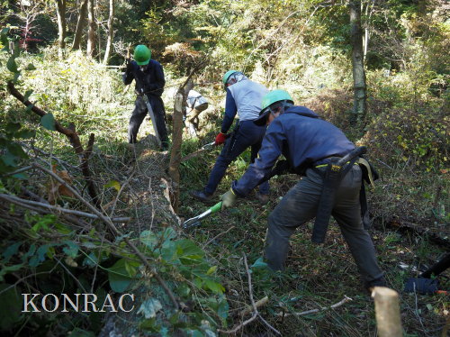 ���R��y��