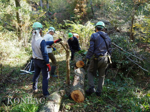 ���R��y��