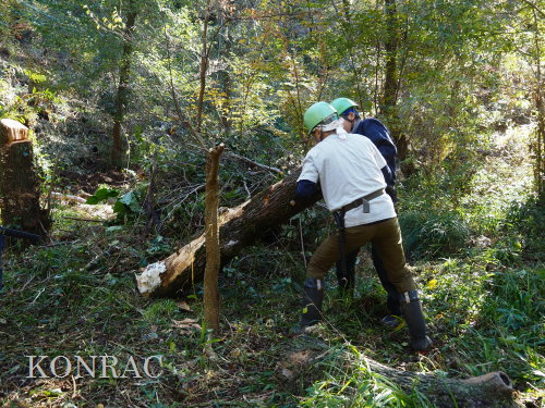 ���R��y��